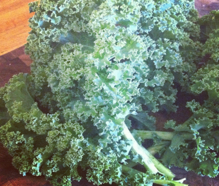 Rural Intelligence Food