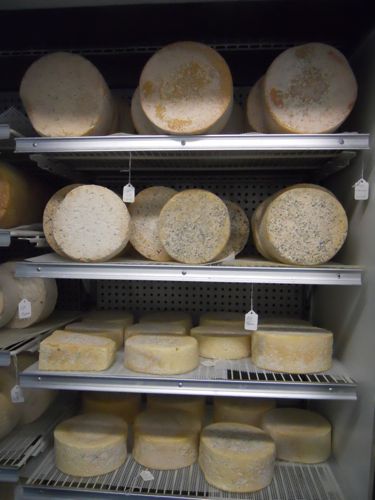 Rural Intelligence Food