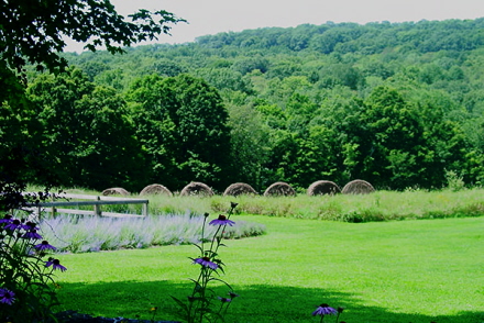 Rural Intelligence Style