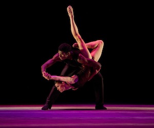 Rural Intelligence Arts