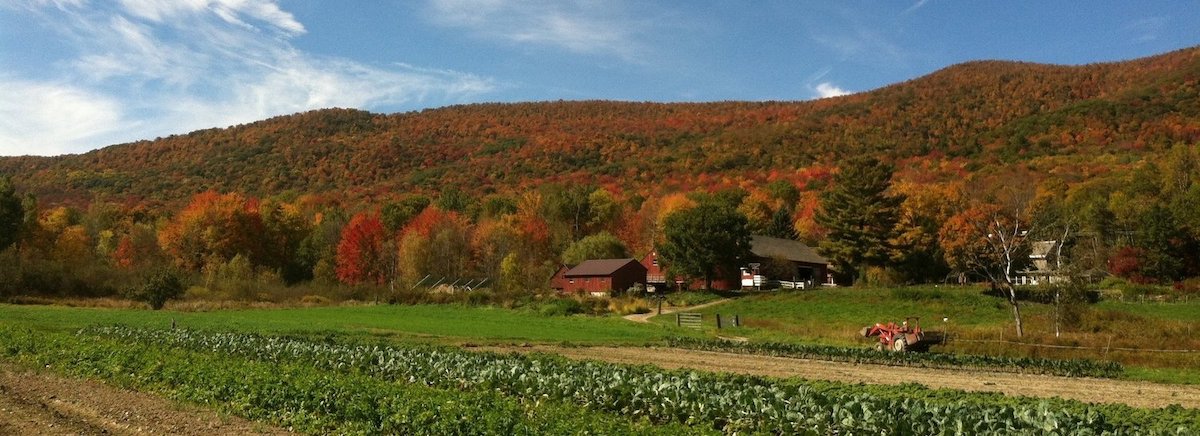 Photo courtesy of Caretaker Farm