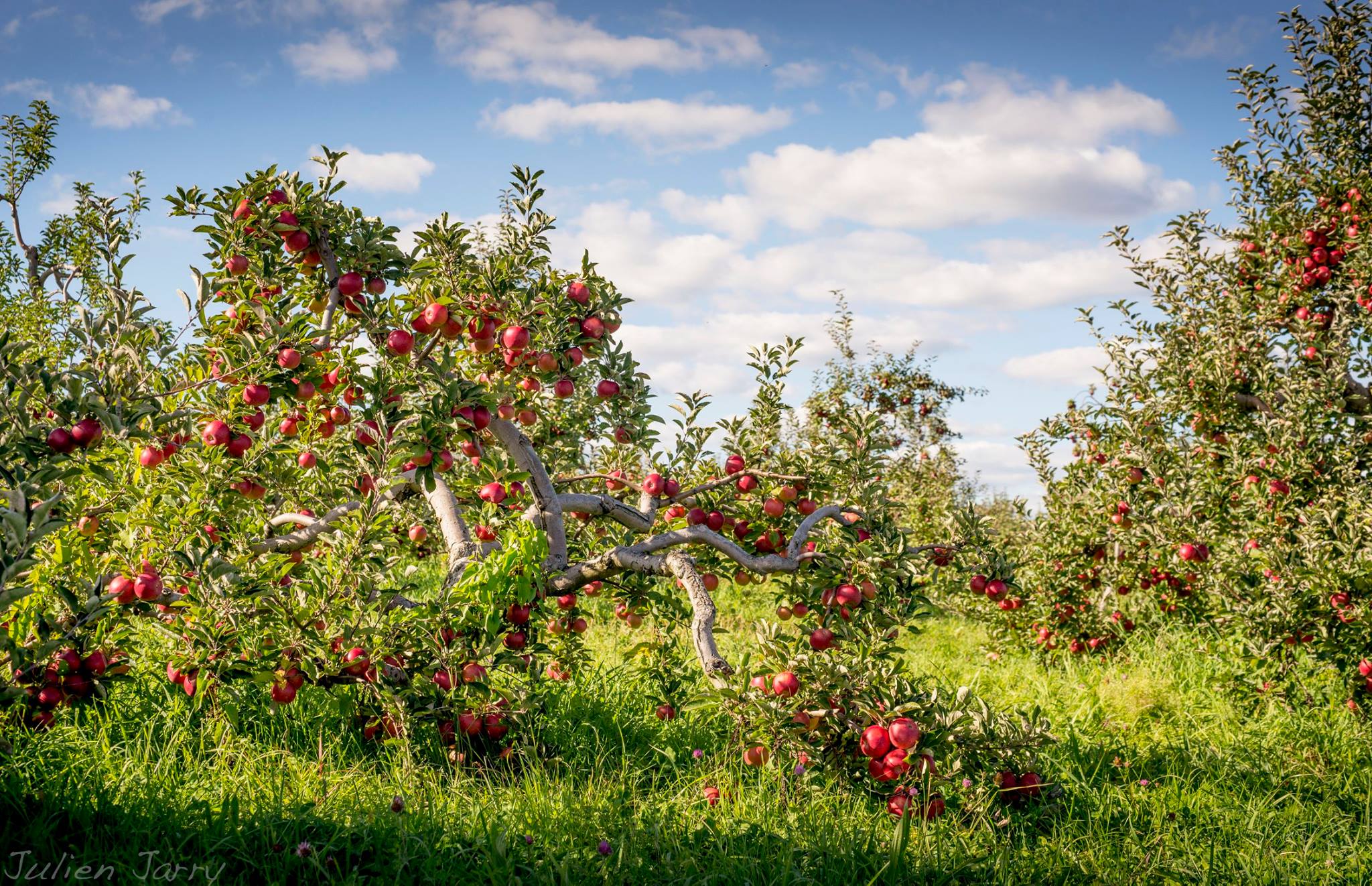 Photo by&nbsp;Ariel Picton