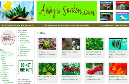 Rural Intelligence Style