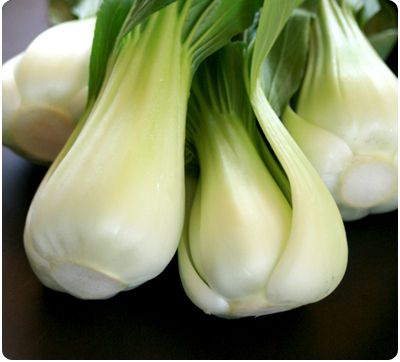 Rural Intelligence Food