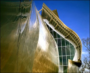 Rural Intelligence Arts