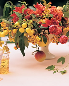 Rural Intelligence Home and Garden