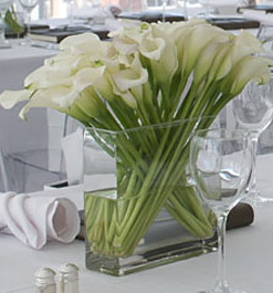 Rural Intelligence Home and Garden