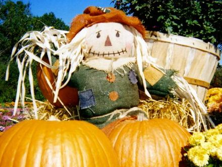 Rural Intelligence Road Trips