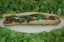 Rural Intelligence Food