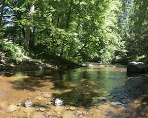 Blackberry River Blackberry River