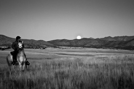 laura chester blue moon