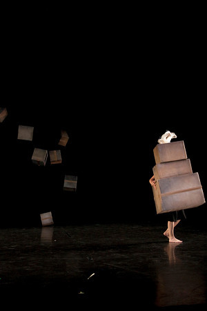 Rural Intelligence Arts