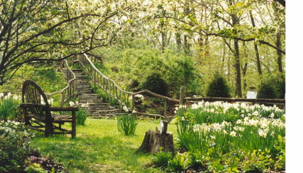 Rural Intelligence Style