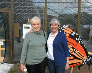butterfly8