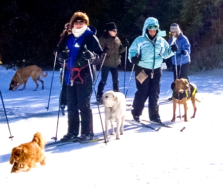 Rural Intelligence Road Trips