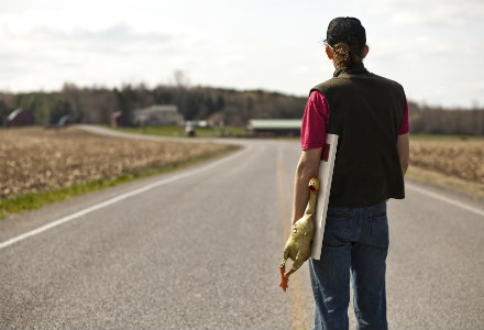 great chicken wing 440