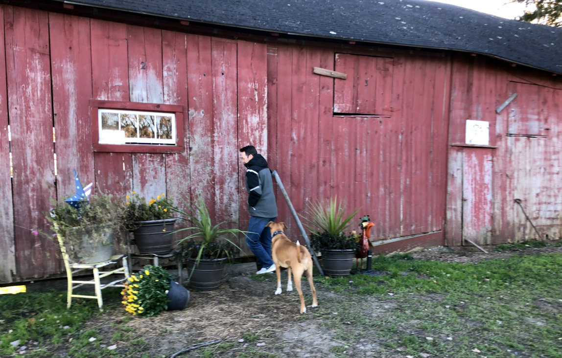 Hanson heads into the barn.