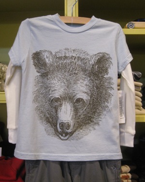 Rural Intelligence Style