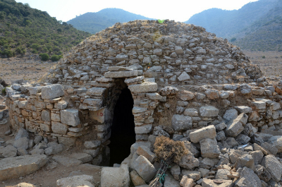 Rural Intelligence Food