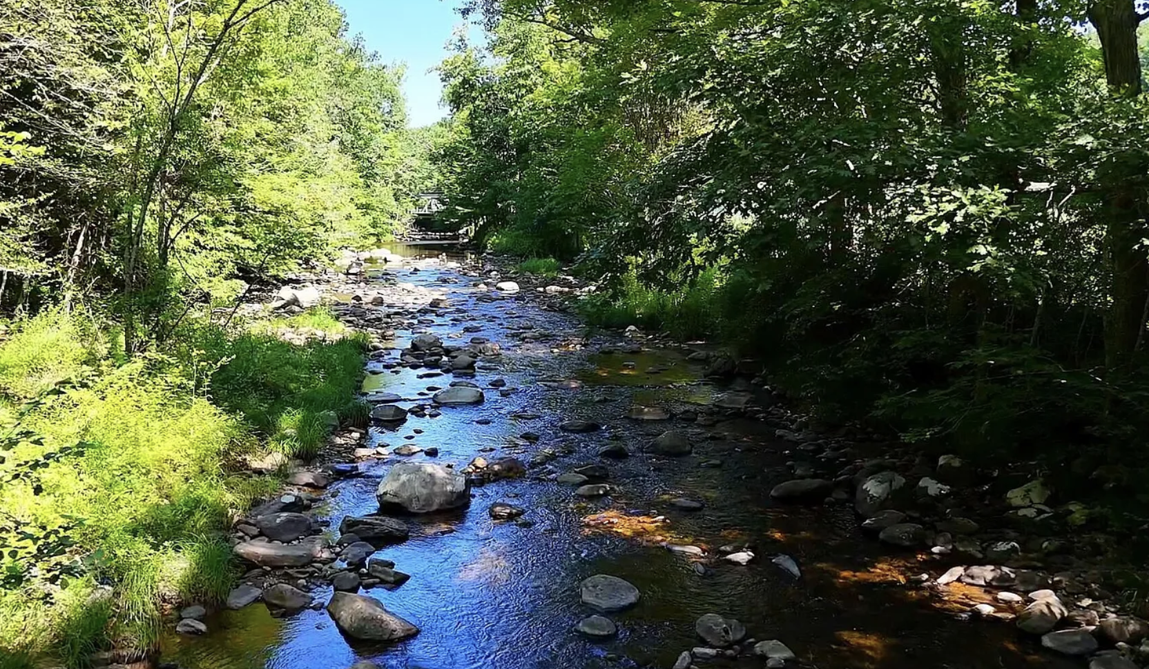 The mighty Clam River. The mighty Clam River.