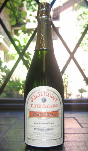 Rural Intelligence Community