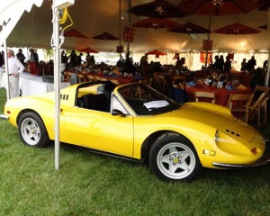 Rural Intelligence Parties and Openings