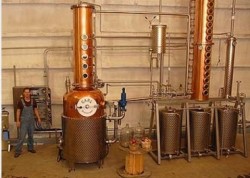 Rural Intelligence Food