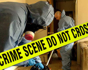 Rural Intelligence Style