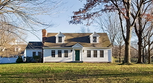 Rural Intelligence Style