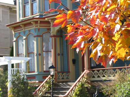 Rural Intelligence Road Trips