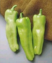 Rural Intelligence Food