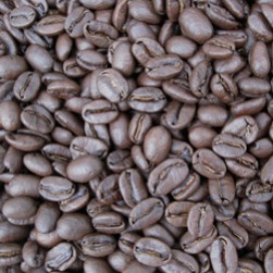 Rural Intelligence Style