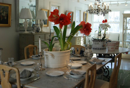 Rural Intelligence Style