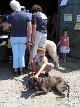 Rural Intelligence Parties and Openings