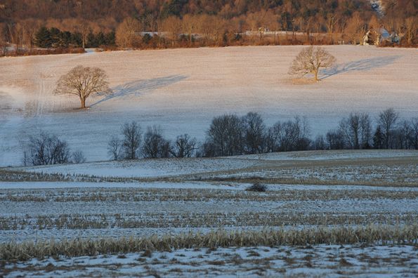 Rural Intelligence Road Trips