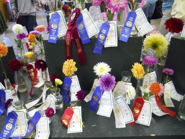 Rural Intelligence Road Trips