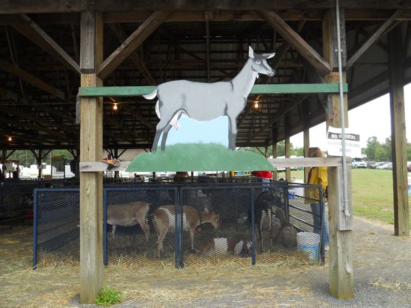 Rural Intelligence Road Trips