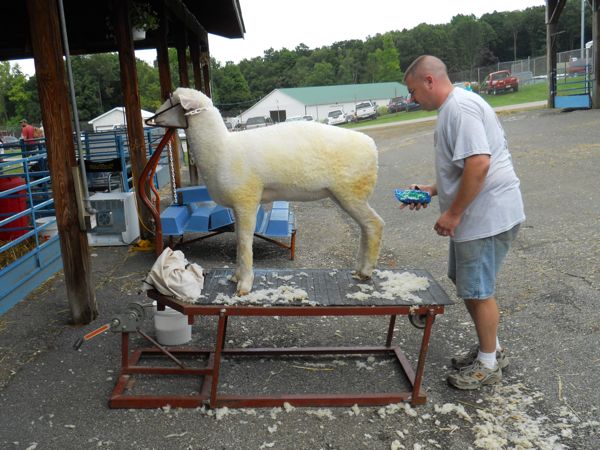 Rural Intelligence Road Trips