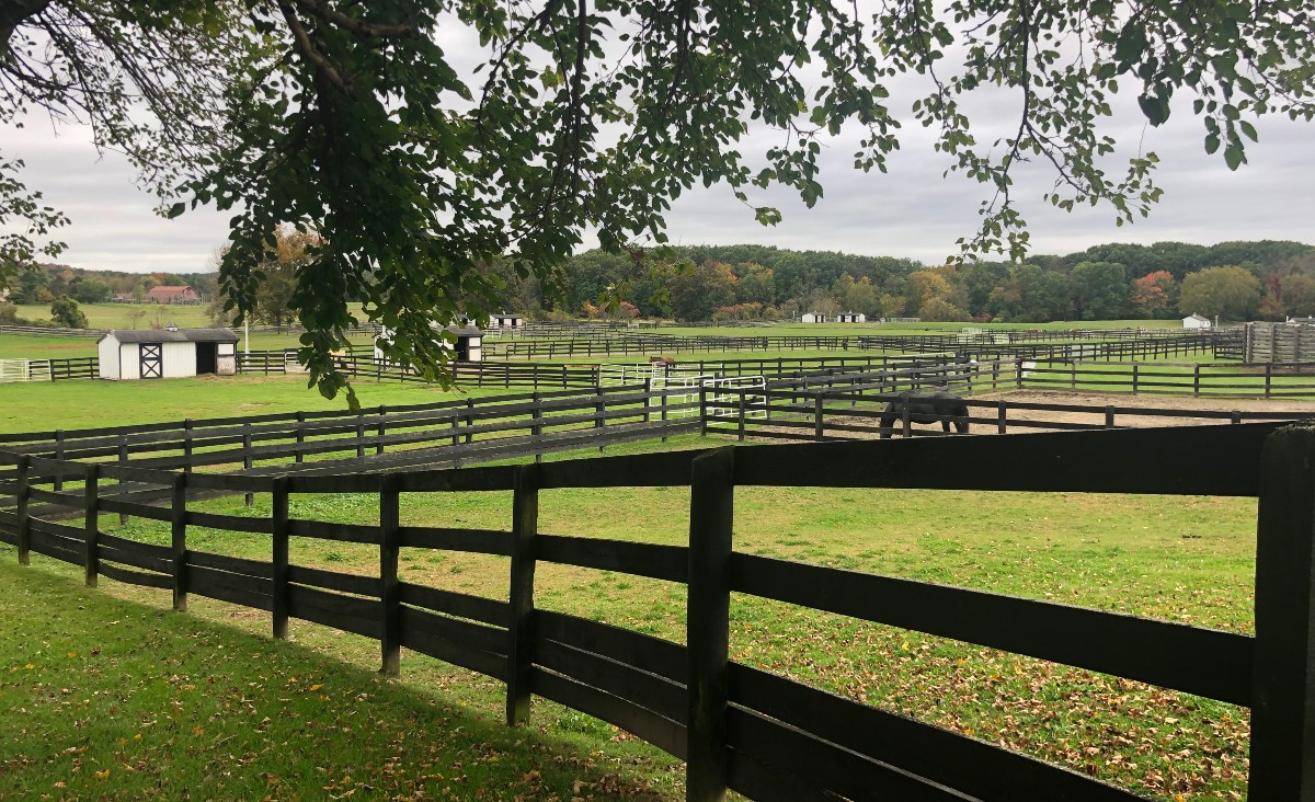The many paddocks at the sanctuary