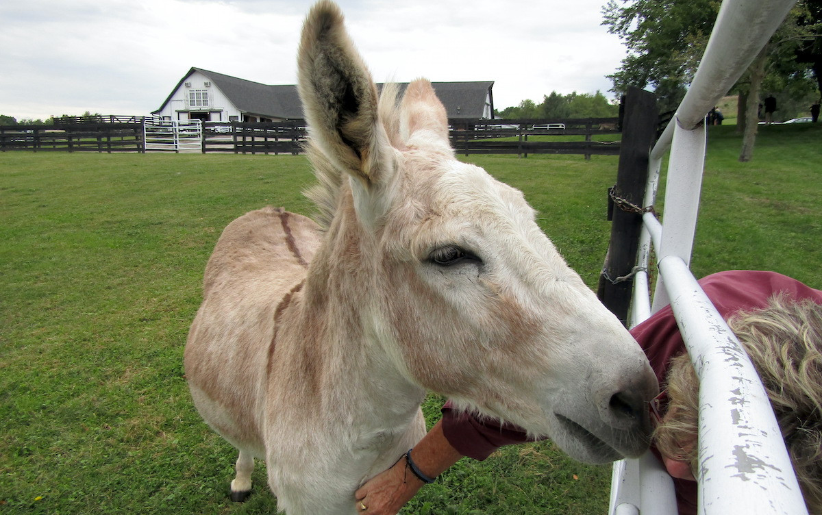 Jake moves in for a smooch.