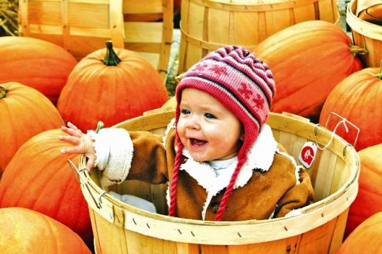 Rural Intelligence Road Trips