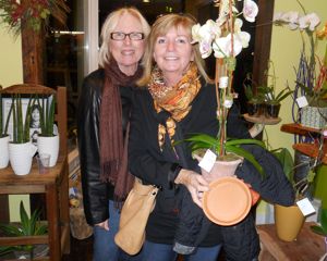 Rural Intelligence Parties and Openings