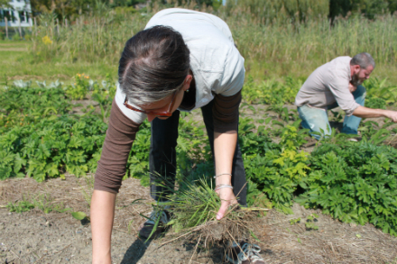 Rural Intelligence Style