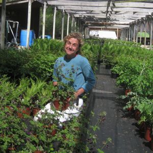 Rural Intelligence Style