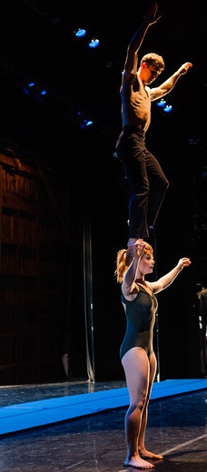 Rural Intelligence Arts