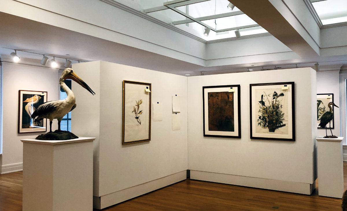 Tremaine Gallery, mid hanging