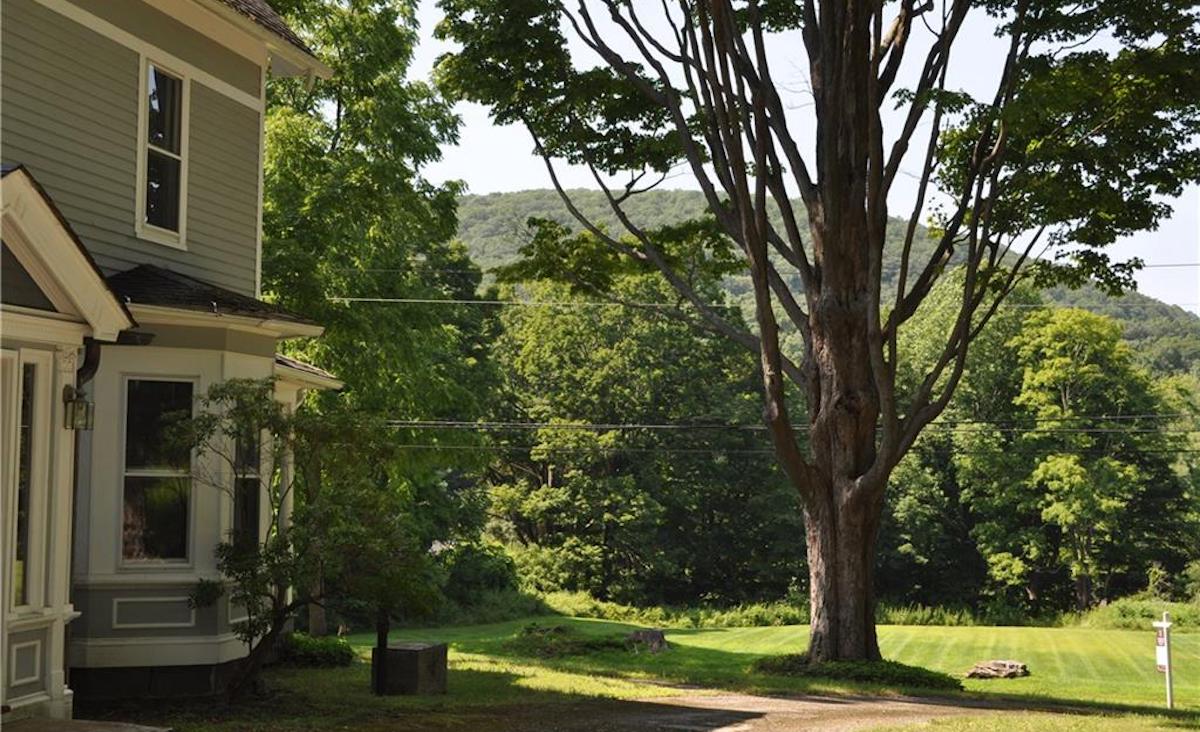 Backyard view Backyard view