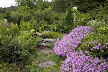 Rural Intelligence Style