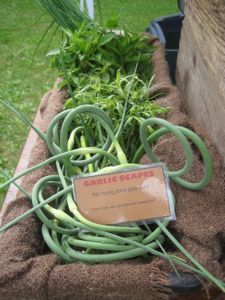 Rural Intelligence Food