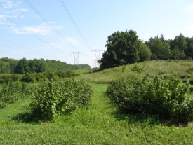 Rural Intelligence Food